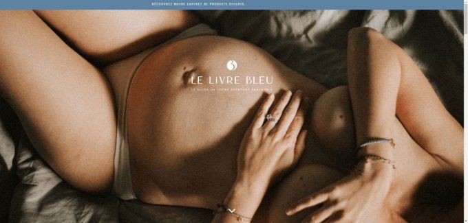 Le livre bleu